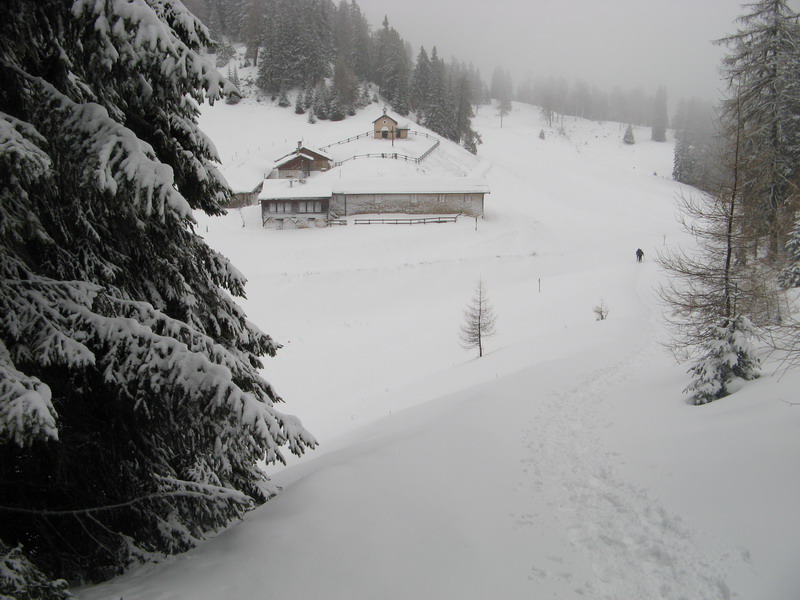 sotto una nevicata